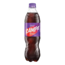 Campa Cola (Pack of 24 Bottles)