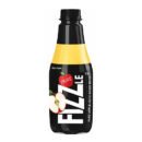 Appy Fizz Sparkling Apple Drink 160 ML (Pack of 40)